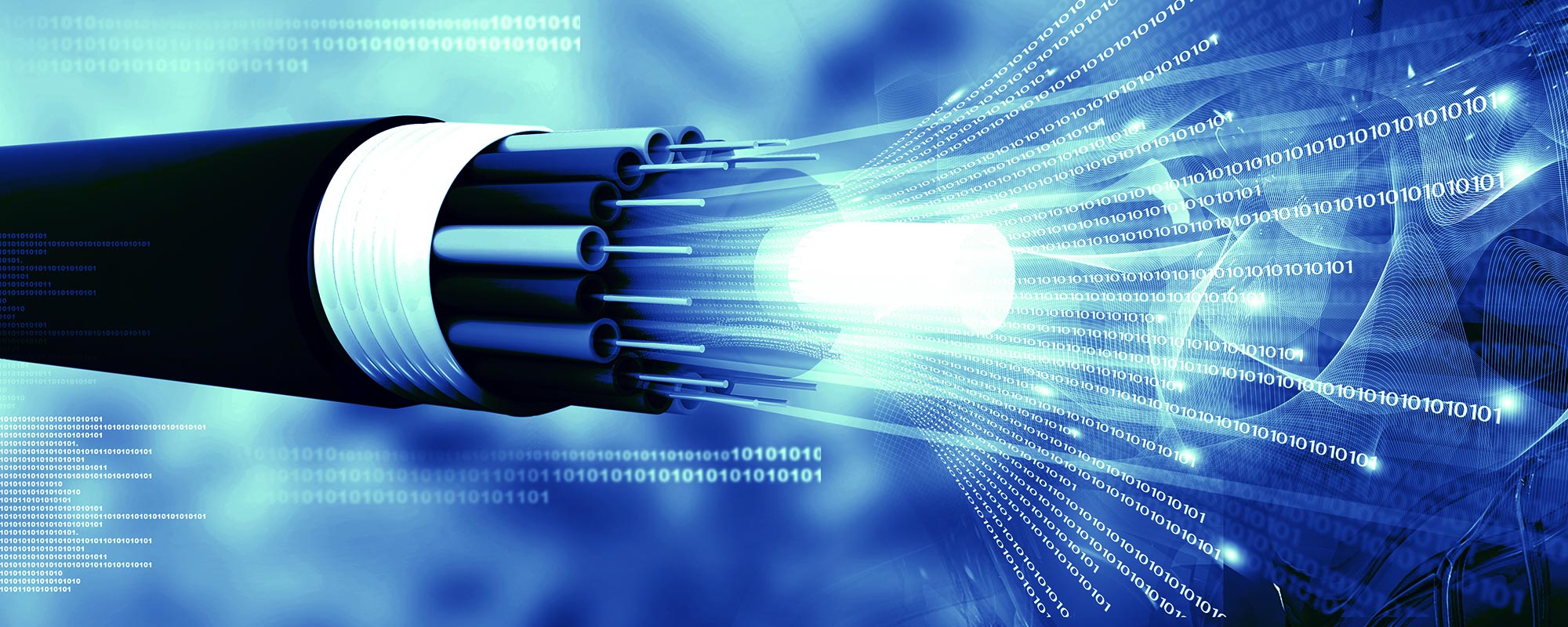 Fibre Arrow Voice & Data