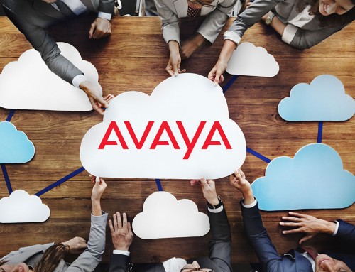 Arrow Partner Spotlight: Avaya