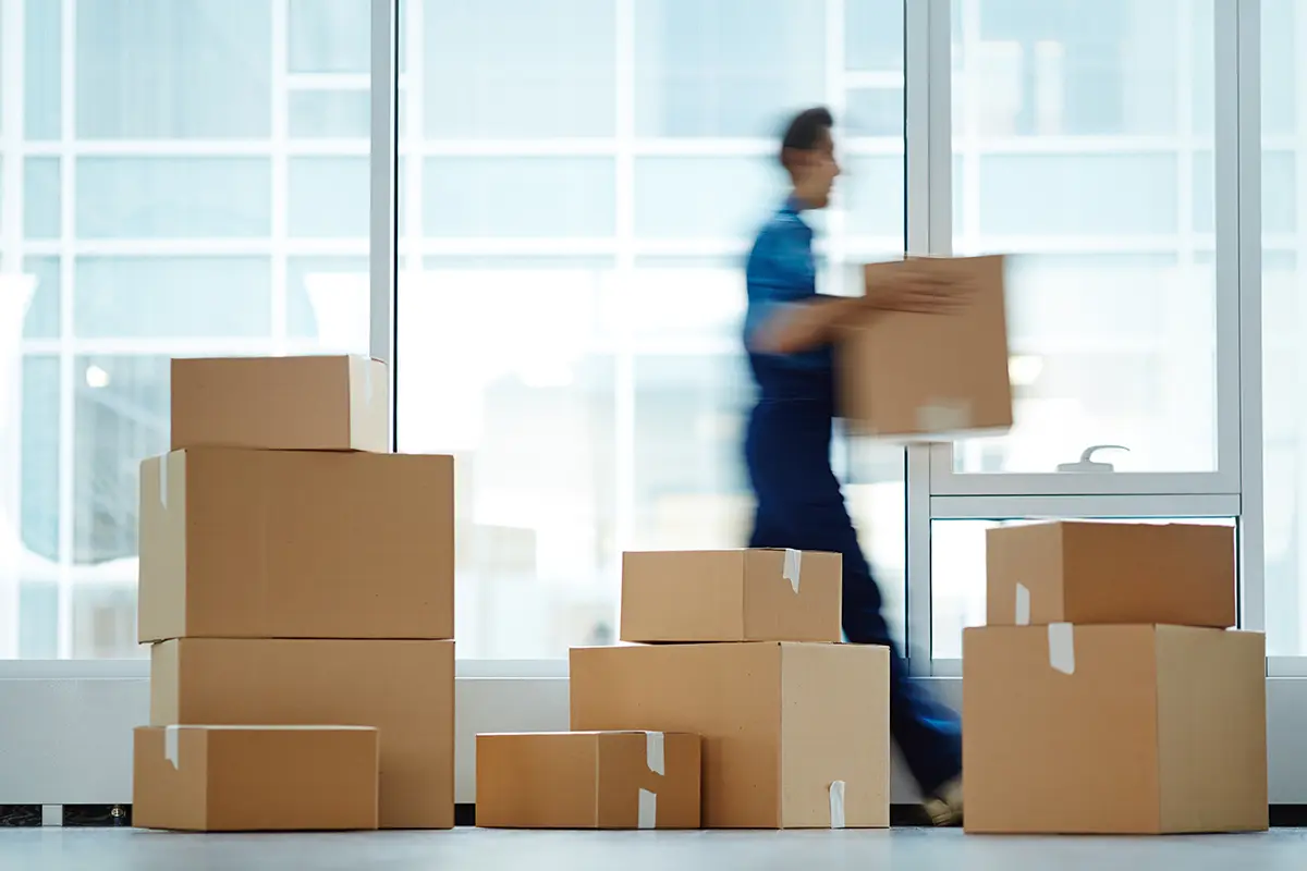 Arrow_Telco-Relocation_Intro
